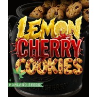 Lemon Cherry Cookies Auto