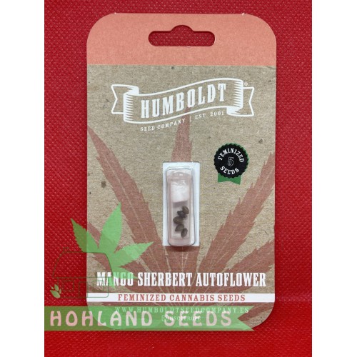 Mango Sherbert Autoflower Mango Sherbert Autoflower