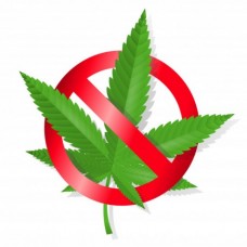 Реальные причины запрета марихуаны