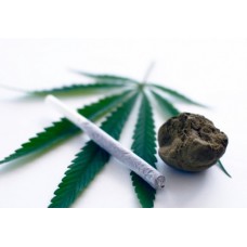 Глупеют ли от марихуаны? Влияние марихуаны на способность мыслить ясно