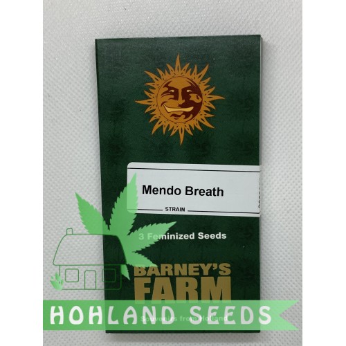 Mendo Breath