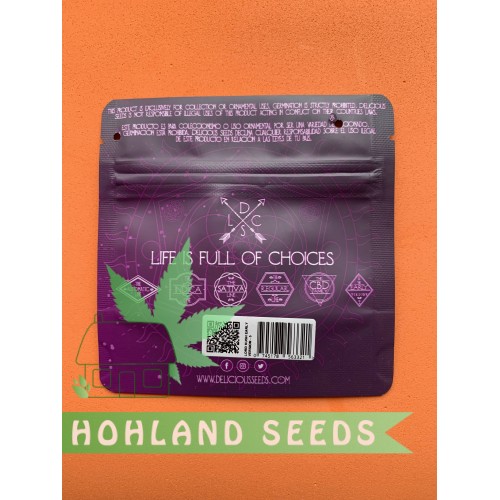 Northern Light Blue THC-Free