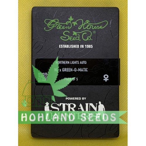 Northern Lights Auto