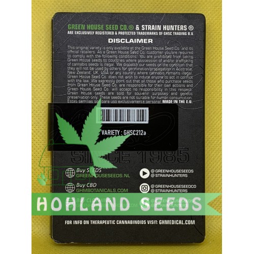 Northern Lights Auto