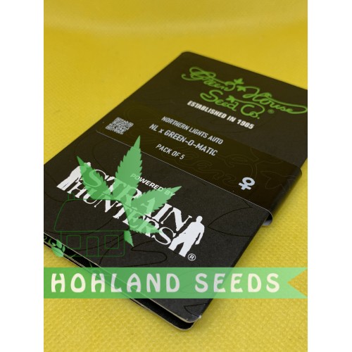 Northern Lights Auto