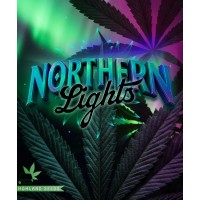 Northern Lights Northern Lights
