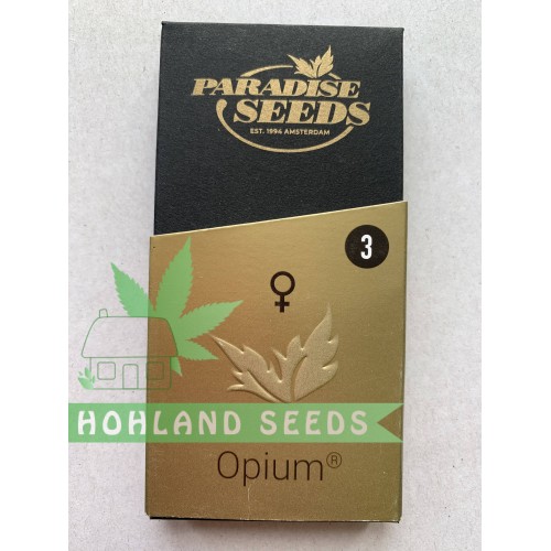 Opium