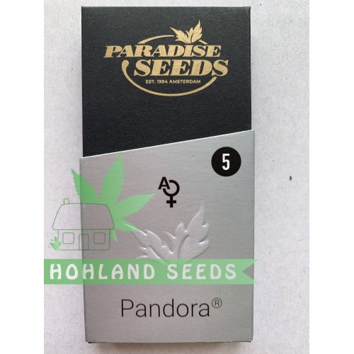 Pandora Pandora