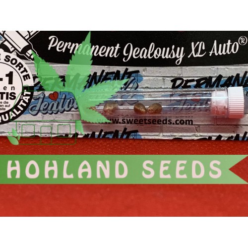 Permanent Jealousy XL Auto