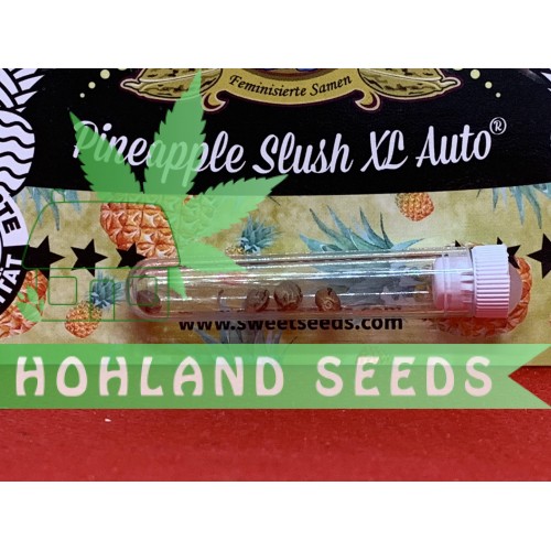 Pineapple Slush XL Auto