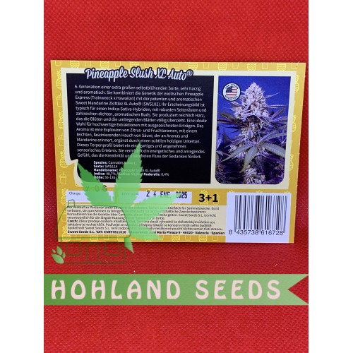 Pineapple Slush XL Auto