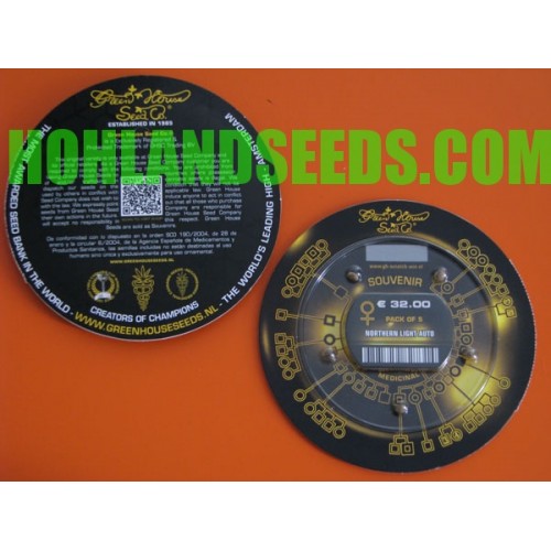 Northern Lights Auto