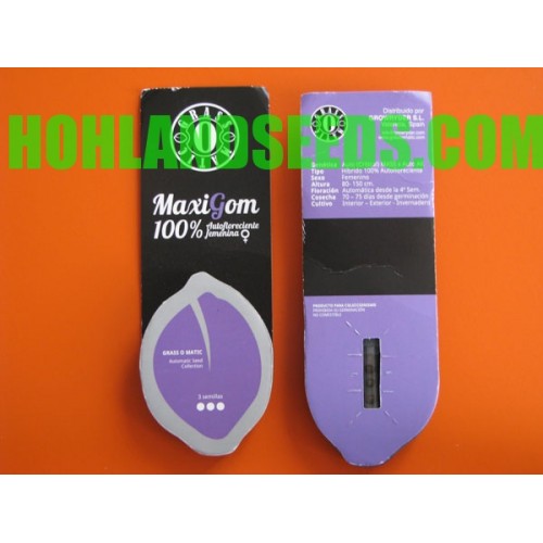 Mix Gom Auto