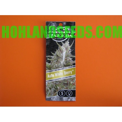 Auto Whiteberry