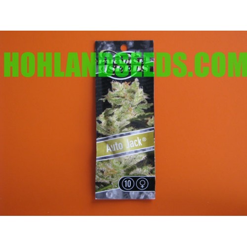 Auto Jack