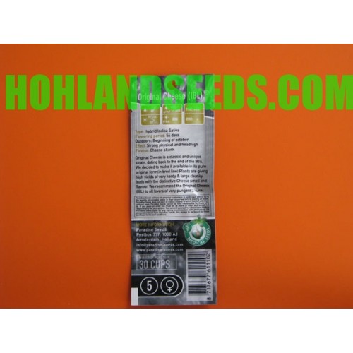 Original Cheese (IBL)
