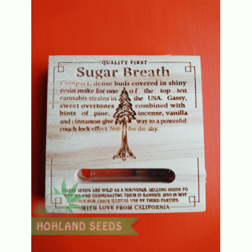 Sugar Breath Sugar Breath