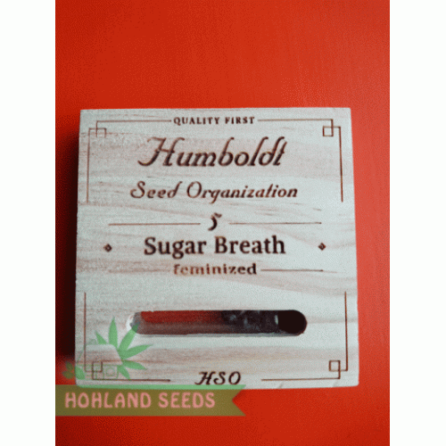 Sugar Breath Sugar Breath