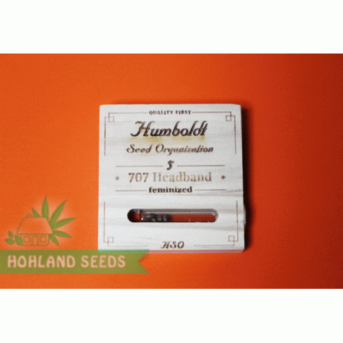707 Headband 707 Headband