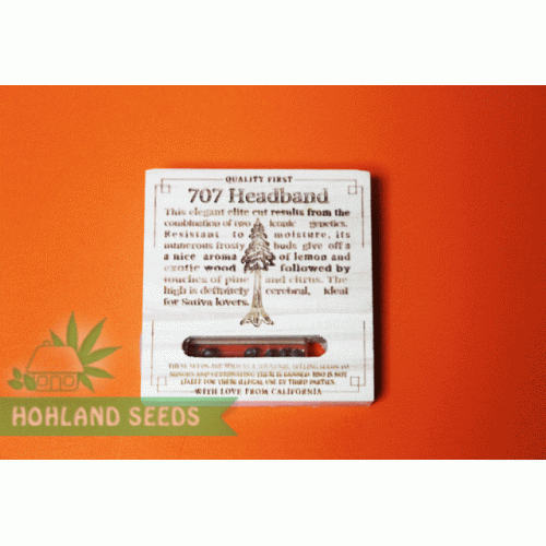 707 Headband 707 Headband