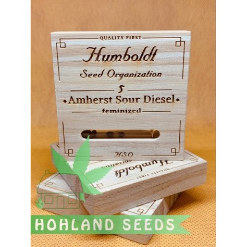Amherst Sour Diesel