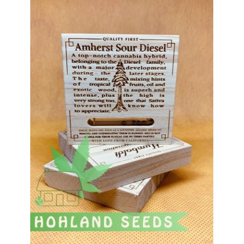 Amherst Sour Diesel