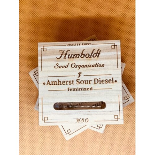 Amherst Sour Diesel