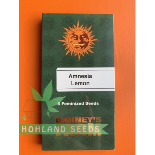 Amnesia Lemon