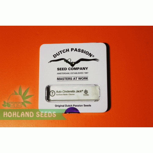 Auto Cinderella Jack Auto Cinderella Jack