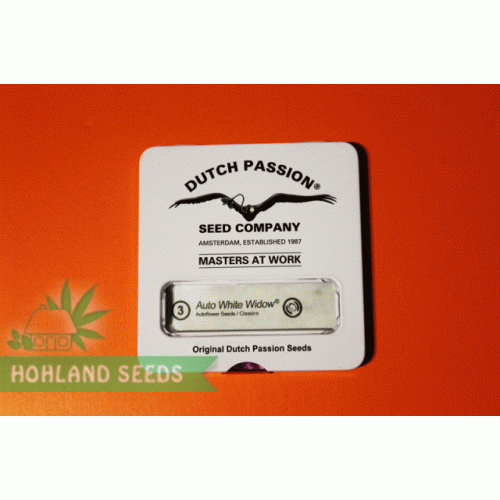 Auto White Widow