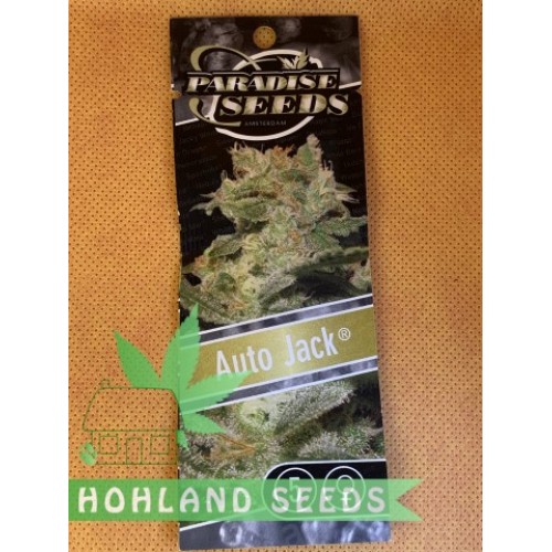 Auto Jack