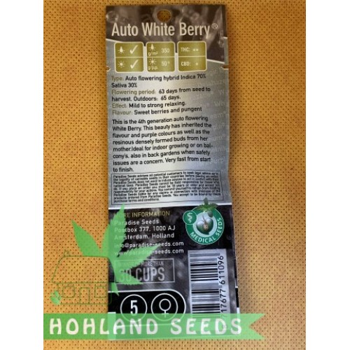 Auto Whiteberry