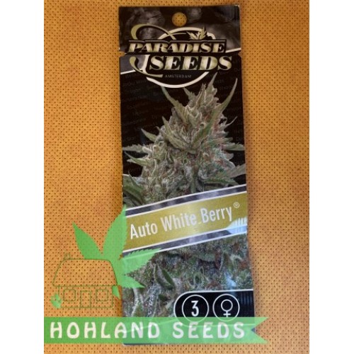 Auto Whiteberry