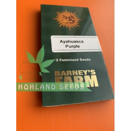 Ayahuasca Purple
