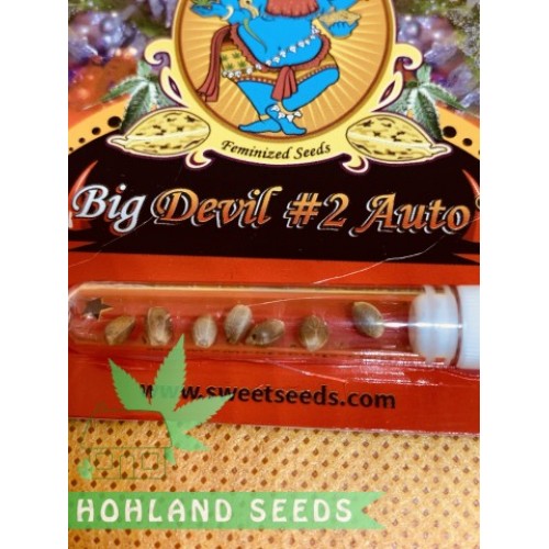 Big Devil #2 Auto