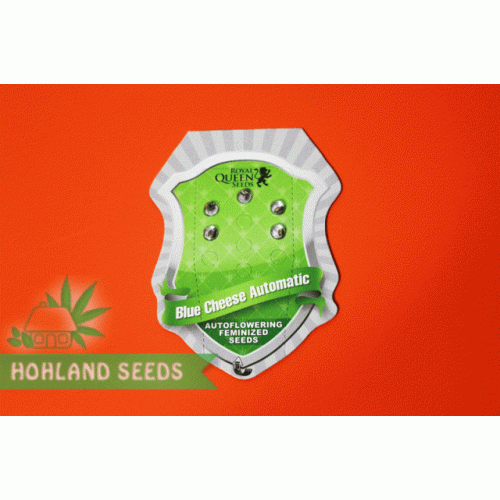 Blue Cheese Automatic