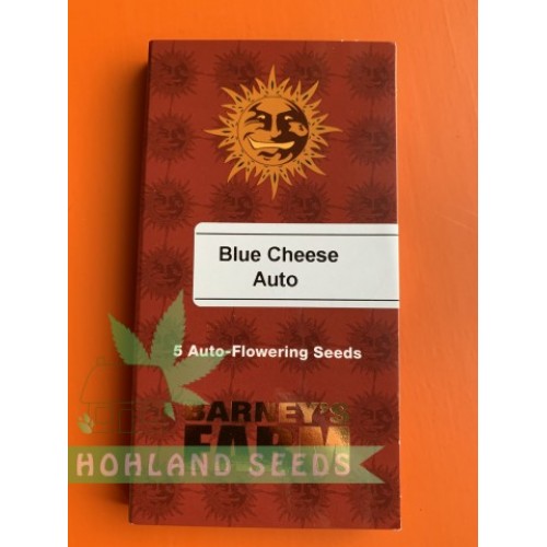 Blueberry Chees Auto