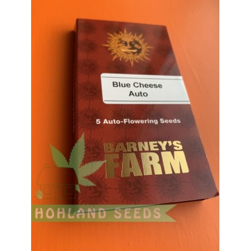 Blueberry Chees Auto
