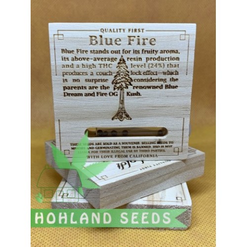 Blue Fire