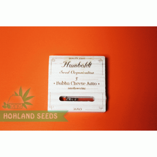 Bubba Cheese Auto Bubba Cheese Auto