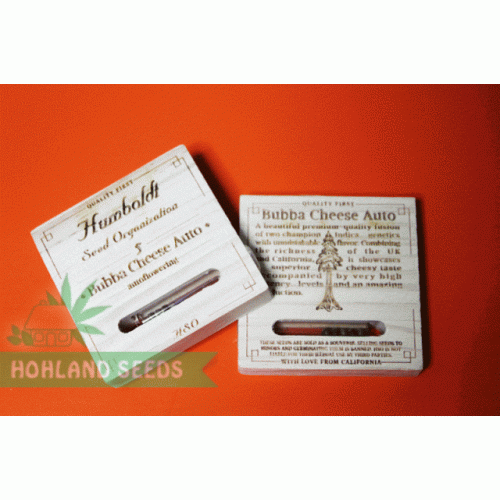 Bubba Cheese Auto Bubba Cheese Auto