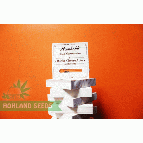 Bubba Cheese Auto Bubba Cheese Auto