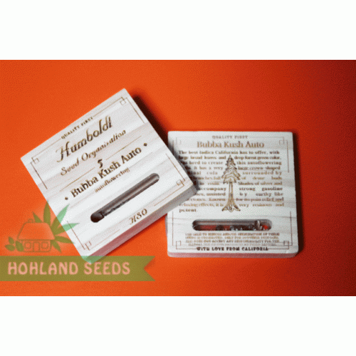 Bubba Kush Auto Bubba Kush Auto