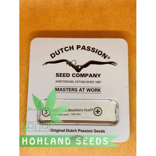 CBD Auto Blackberry Kush CBD Auto Blackberry Kush