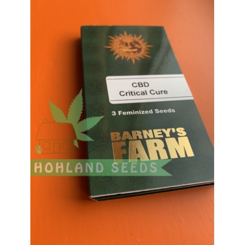 CBD Critical Cure