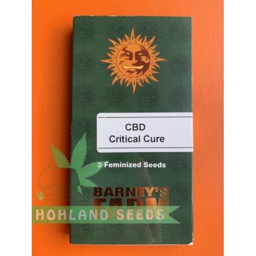 CBD Critical Cure
