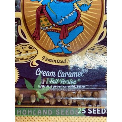 Cream Caramel F1 Fast Version
