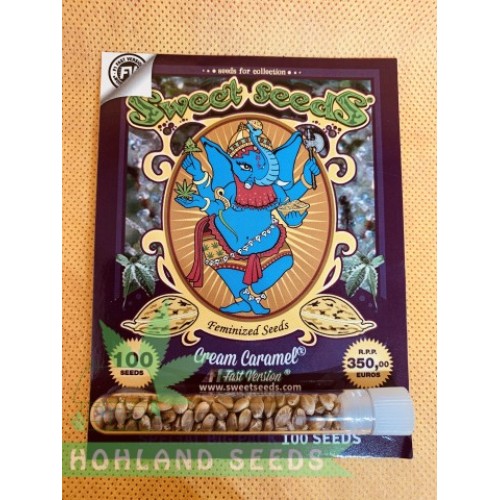 Cream Caramel F1 Fast Version