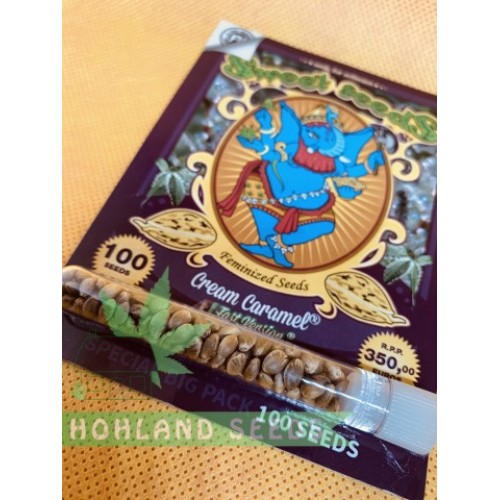 Cream Caramel F1 Fast Version