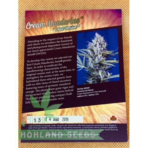 Cream Mandarine F1 Fast Version